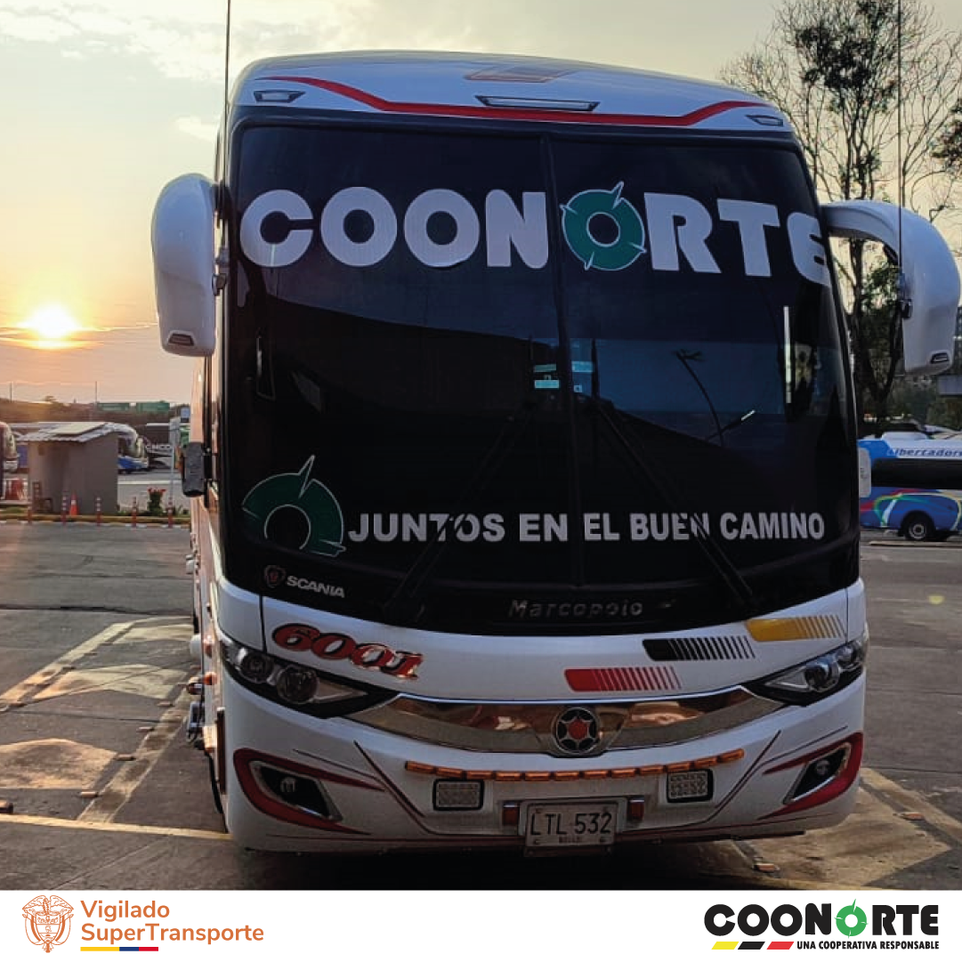 Imagen del Carrusel